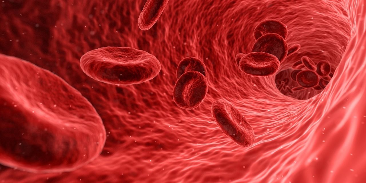 Nanotech company targets $22bn biosensor market with quicker blood testing