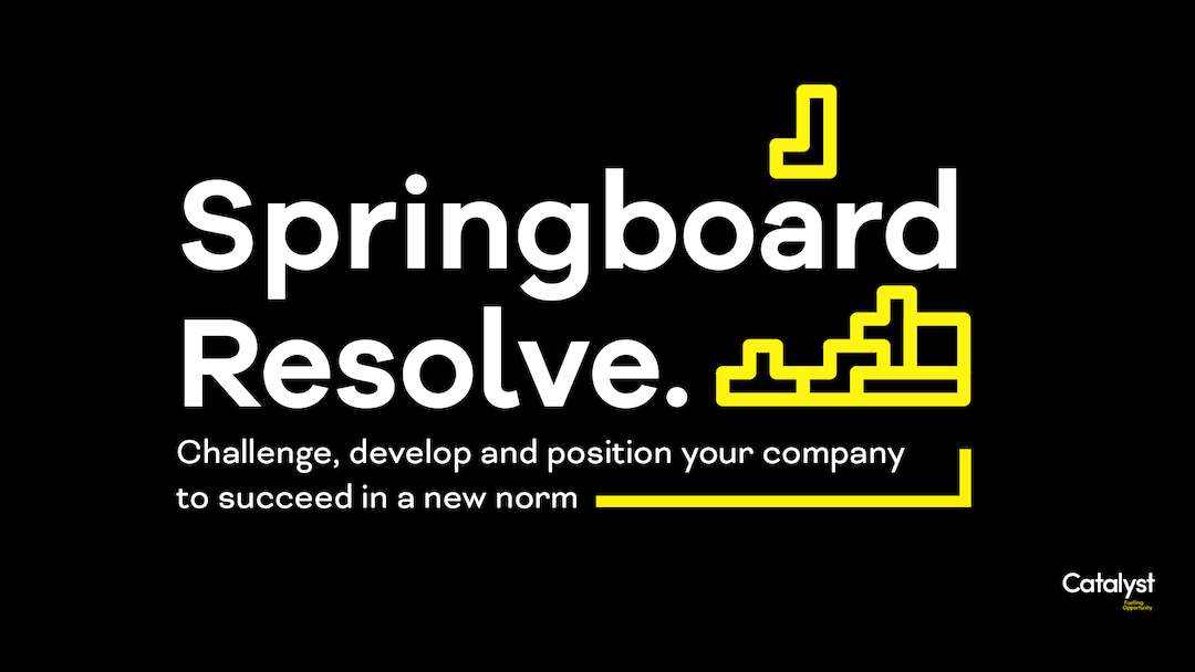 Springboard Resolve – Open for applications